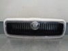 Grelha do radiador 1U0853651 VAG