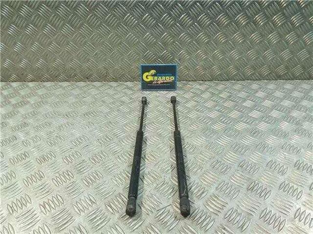 Amortecedor da capota 1X4316C826AC JAGUAR