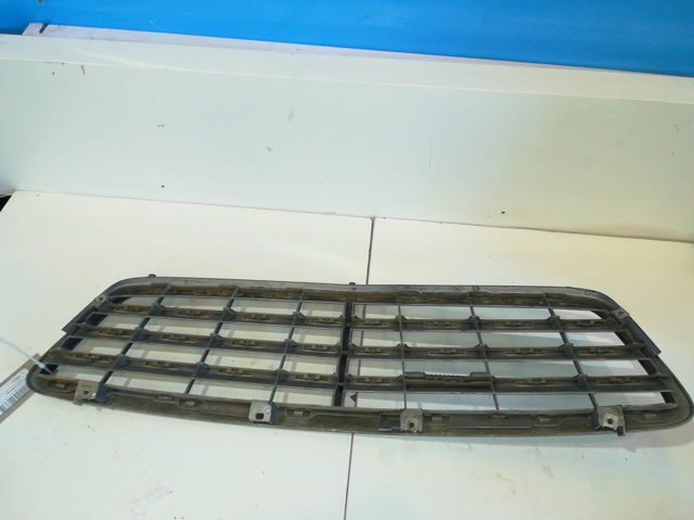 Grelha do radiador 2038800223 MERCEDES