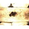 Motor montado 20T2N ROVER