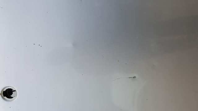 210880095728 MERCEDES Капот купить в Сумы
