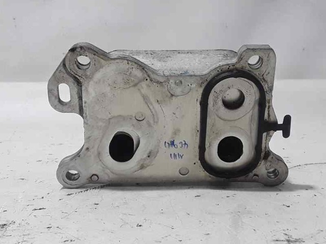 NISSAN 213052032R Масляный радиатор в наличии Хмельницкий