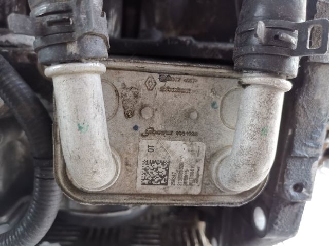 213052032R NISSAN Радиатор масляный купить в Харьков