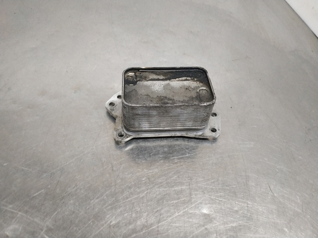 213058627R RENAULT Радиатор масляный купить в Чернигов