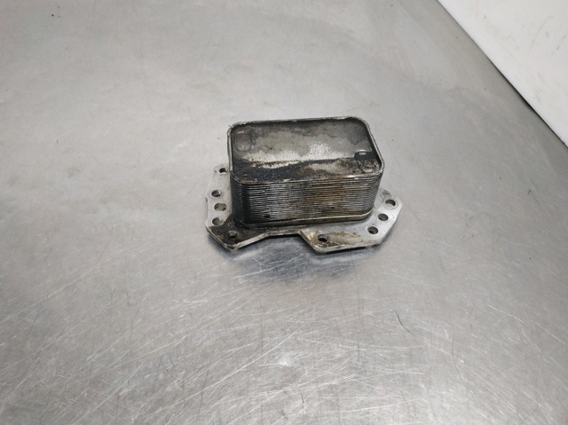 213058627R RENAULT Масляный радиатор купить в Ужгород