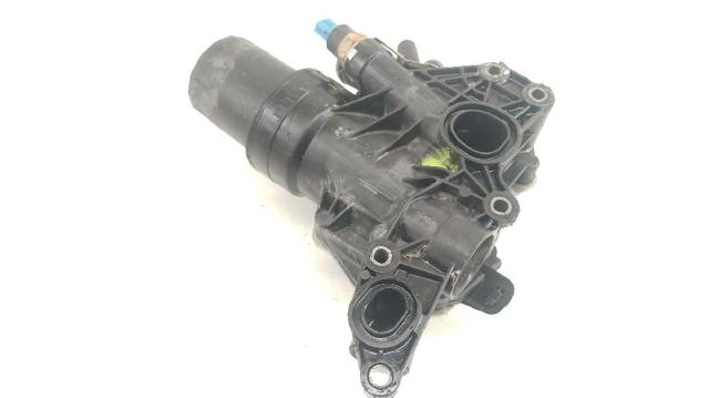RENAULT 213058627R Радиатор масляный в наличии Ирпень