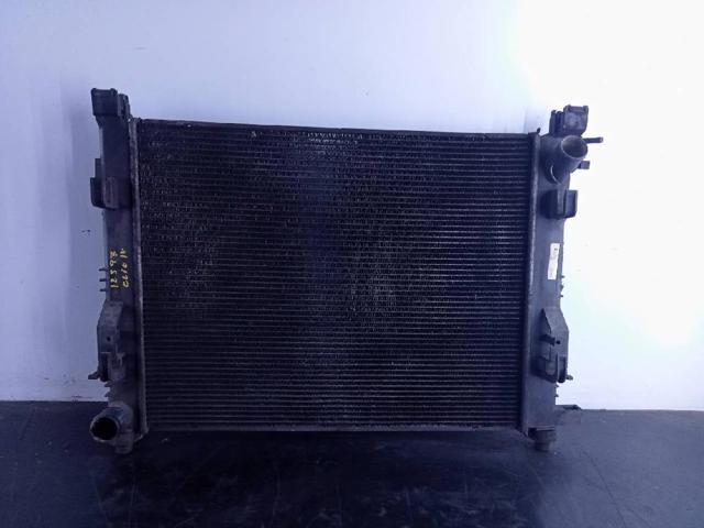 RENAULT 214101612R Радиатор в наличии Каменское