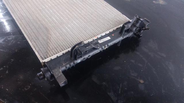 RENAULT 214101612R Радиатор в наличии Ужгород