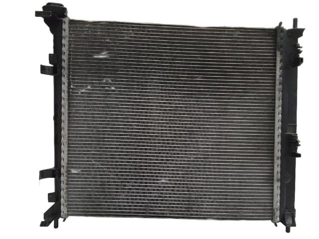 NISSAN 214103LS0A Радиатор охлаждения двигателя в наличии Житомир