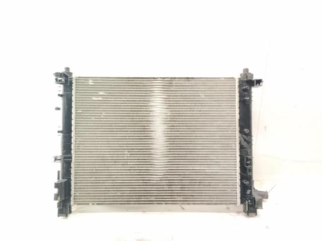 RENAULT 214104225R Радиатор охлаждения двигателя в наличии Николаев