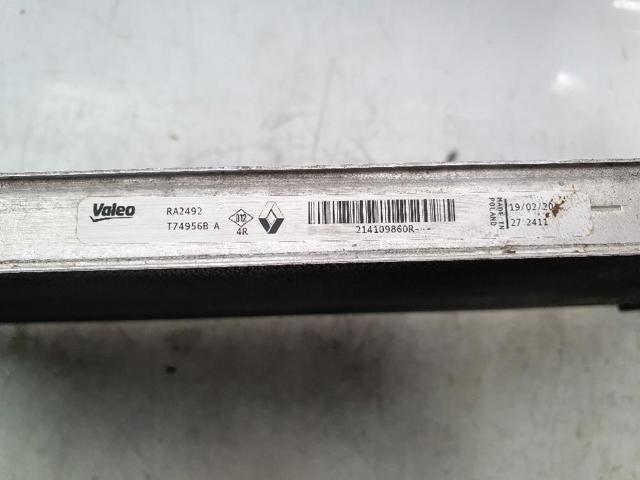 214109860R купить Днепр