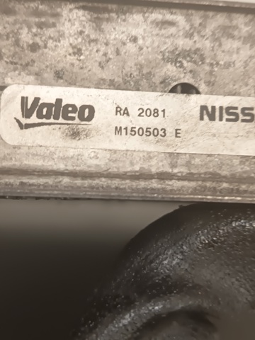 21410BB50A NISSAN Радиатор охлаждения двигателя купить в Николаев