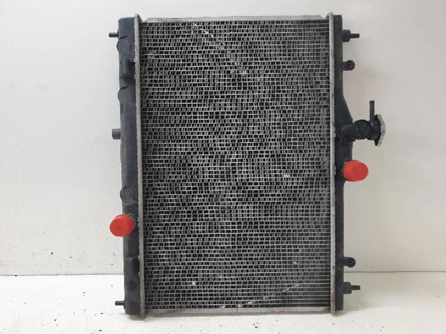 21410EE000 NISSAN Радиатор охлаждения двигателя купить в Черновцы