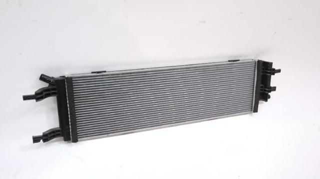 214572452R RENAULT Радиатор охлаждения двигателя дополнительный купить в Павлоград