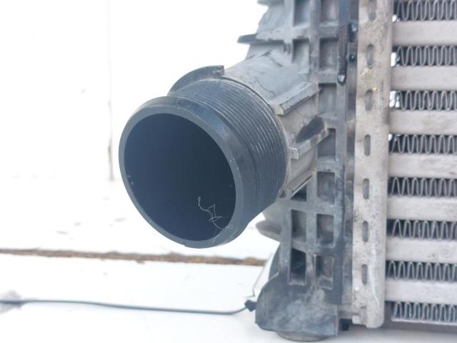 2146189 FORD Радиатор интеркуллера купить в Харьков