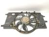 Ventilador elétrico de esfriamento montado (motor + roda de aletas) 214810039R RENAULT