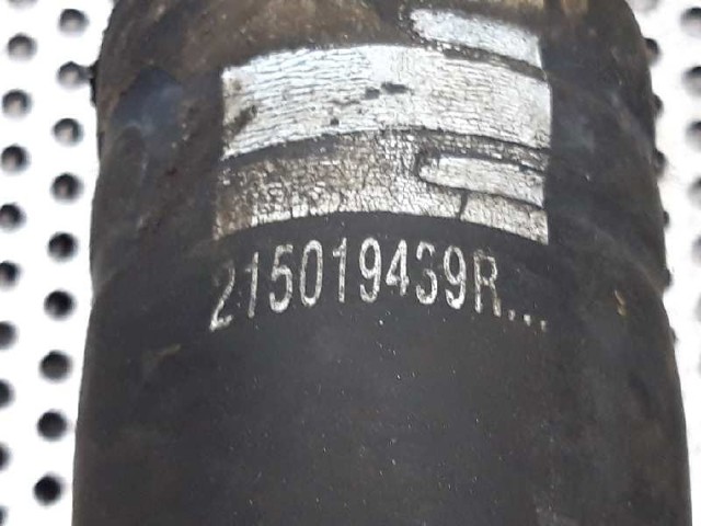 215019439R Шланг (патрубок) радиатора охлаждения нижний купить Павлоград