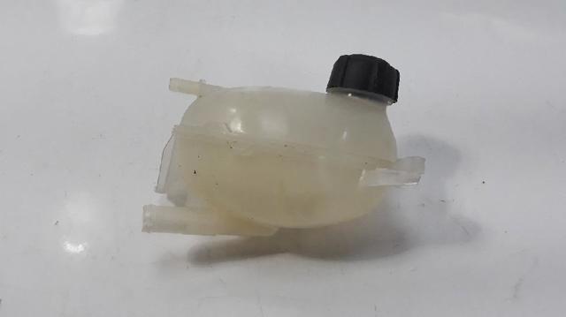 217100680R RENAULT купить в Ирпень