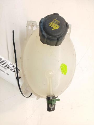 217100680R RENAULT купить в Запорожье