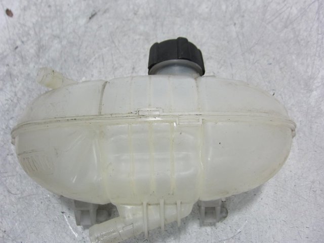 217101893R RENAULT купить в Украина
