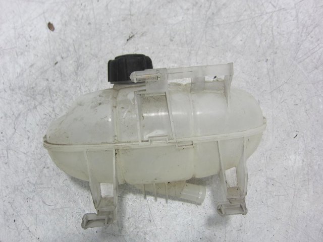 217101893R RENAULT купить в Чернигов