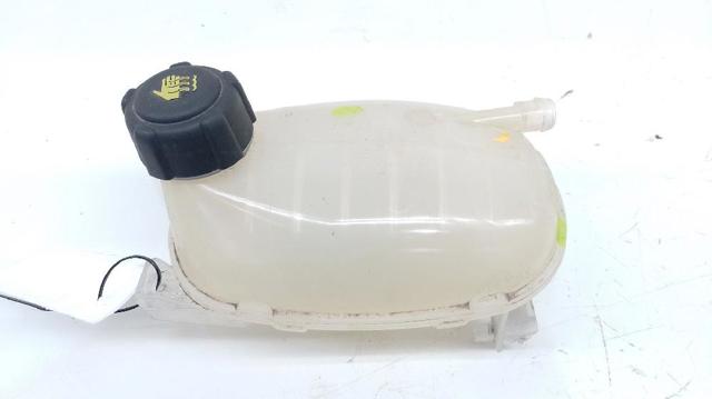 217102572R RENAULT Бачок системы охлаждения купить в Киев