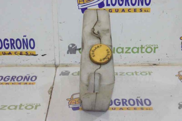 Tanque de expansão do sistema de esfriamento Nissan Terrano 2 R20