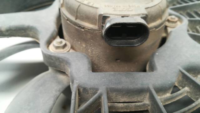 RENAULT 2176411064 в наличии Запорожье