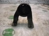 2193017000 Hyundai/Kia