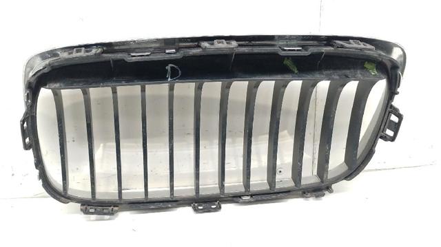 22405910 BMW Решетка радиатора левая купить в Черновцы
