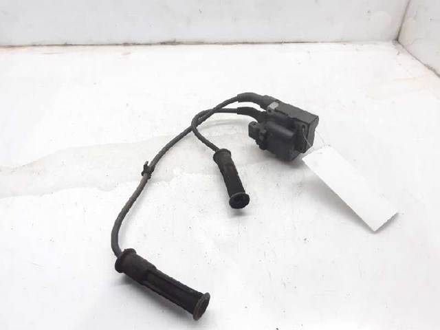 224336134R RENAULT Катушка зажигания купить в Кривой Рог