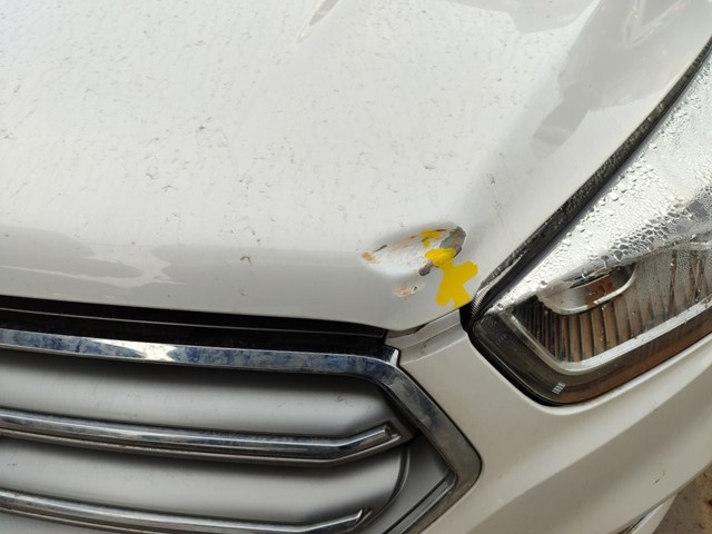 2315693 FORD Капот купить в Житомир