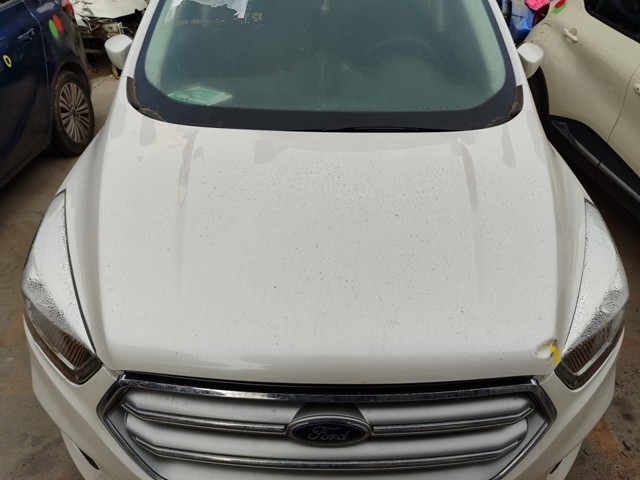 2315693 FORD Капот купить в Одесса