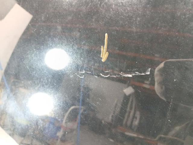 2316737 FORD Капот купить в Каменское