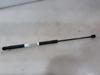 Amortecedor da capota 24465295 OPEL