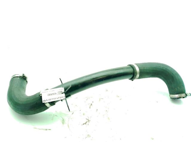 2469419 FORD Патрубок интеркулера купить в Сумы