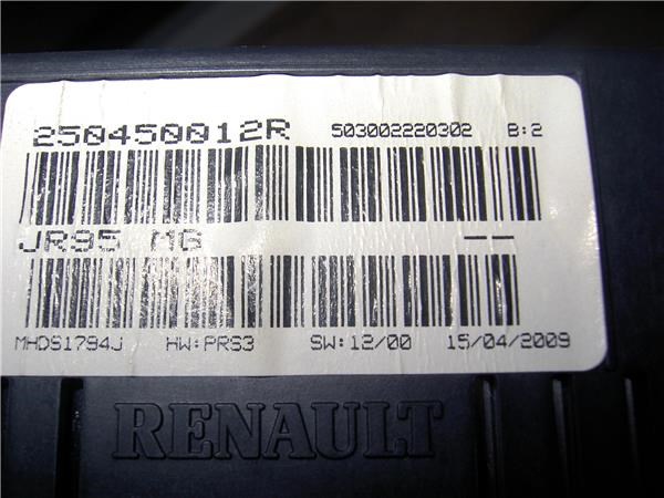 RENAULT 250450012R в наличии Полтава