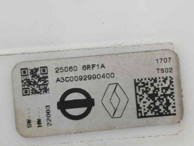 NISSAN 250606RF1A в наличии Винница