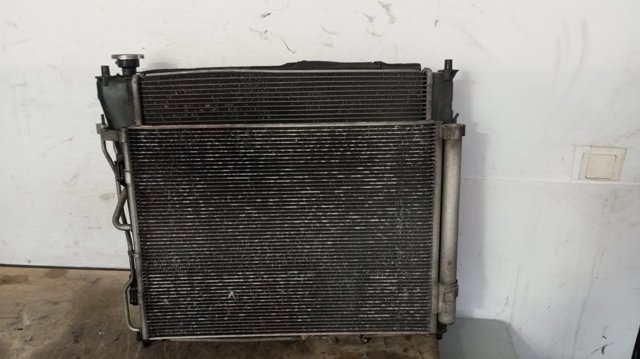 253103Z050 HYUNDAI Радиатор купить в Ужгород