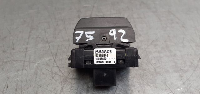 253508347R купить Кривой Рог