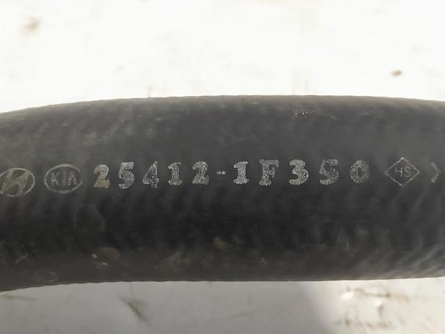 HYUNDAI 254121F350 Нижний шлаг радиатора охлаждения в наличии Ирпень
