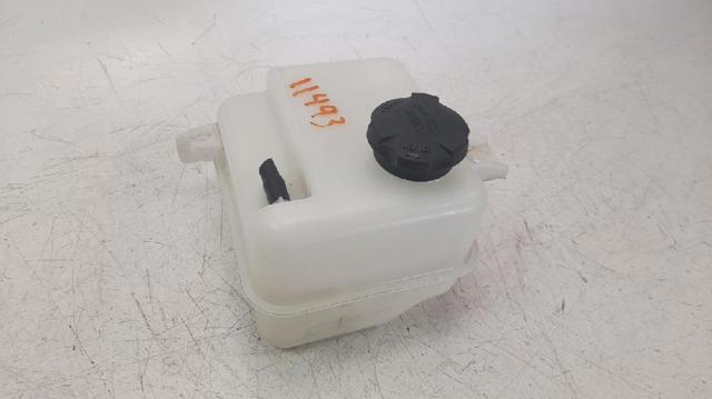 254303W000 HYUNDAI Бачок системы охлаждения расширительный купить в Павлоград