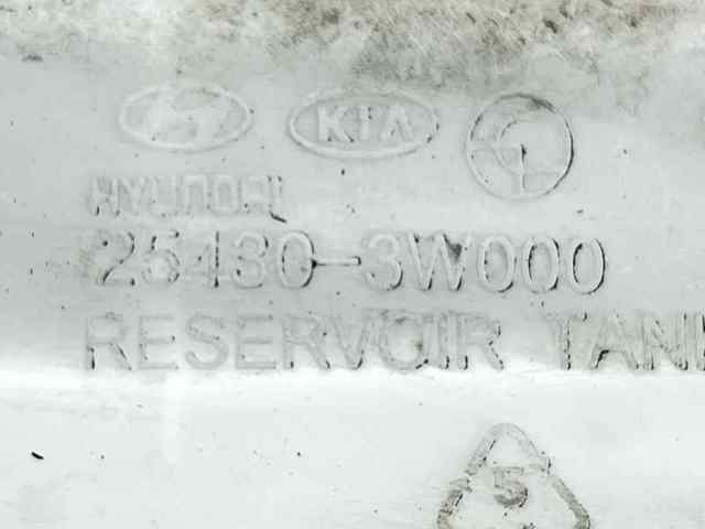254303W000 Бачок системы охлаждения купить Киев