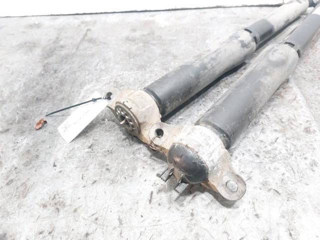2553959 FORD Амортизатор задний купить в Павлоград