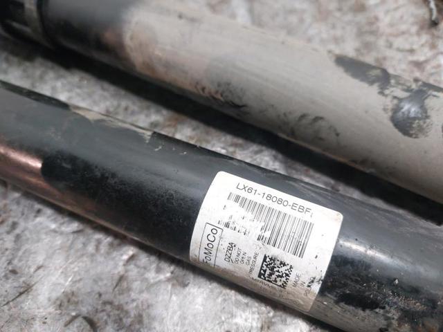 FORD 2553959 Амортизатор задний в наличии Черновцы