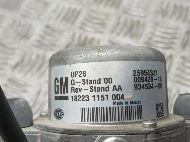 OPEL 25954331 Насос вакуумный в наличии Павлоград