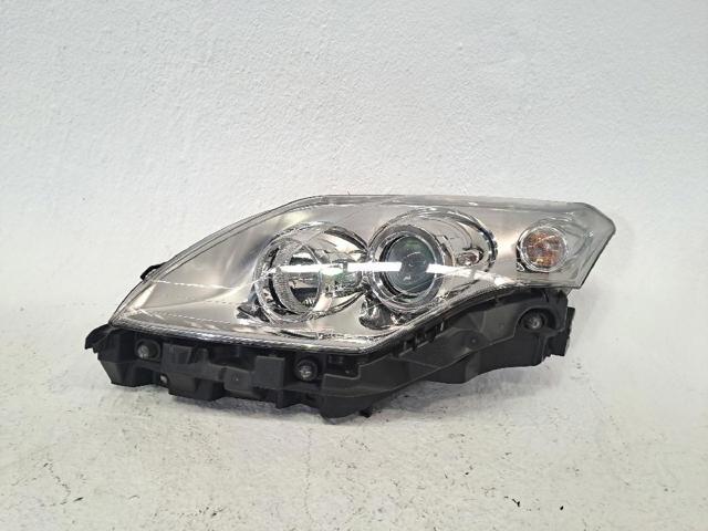 Luz esquerda 260600033R RENAULT