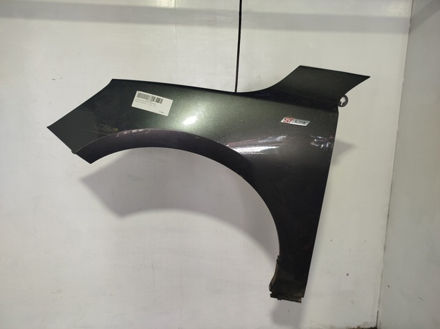 Pára-lama dianteiro esquerdo Ford Focus 4 HN