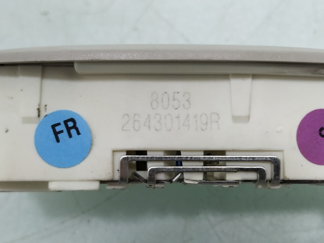 RENAULT 264301419R Плафон салона в наличии Днепр