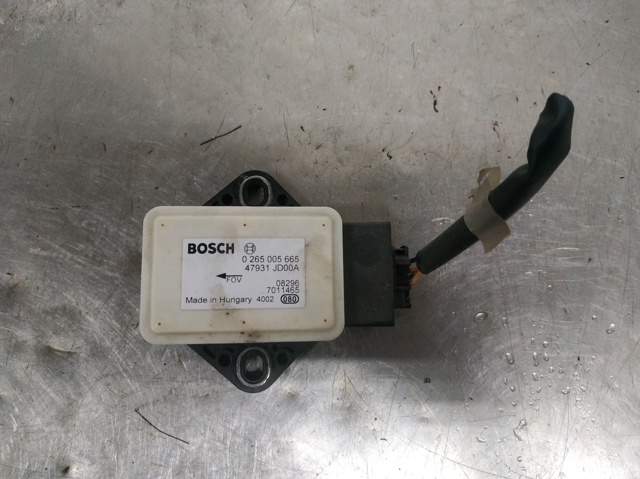 NISSAN 265005665 в наличии Николаев